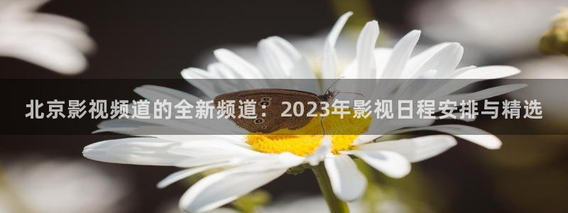 国产做受69视频
