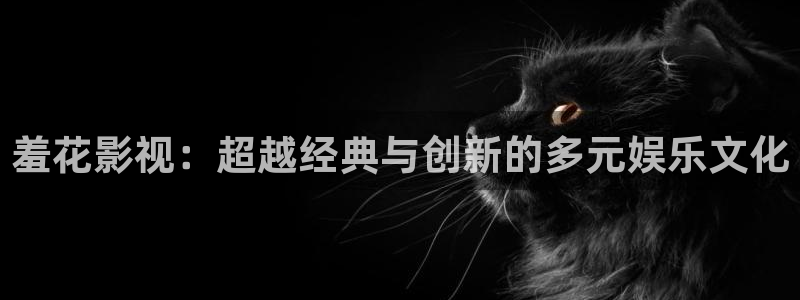 深夜69视频