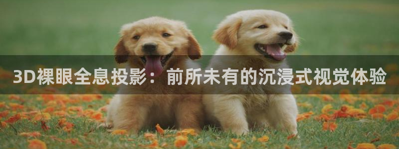 69视频免费版：3D裸眼全息投影：前所未有的沉浸式视觉体验