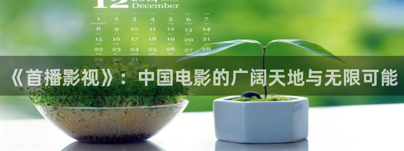 69视频在线网站：《首播影视》：中国电影的广阔天地与无限可能