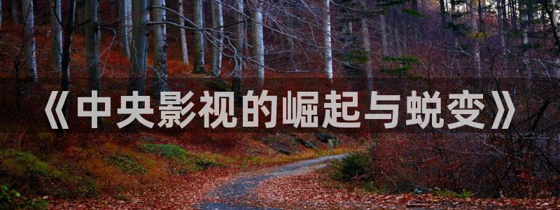 163女性网69视频：《中央影视的崛起与蜕变》